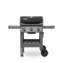 Weber Spirit II E-310 GBS #0